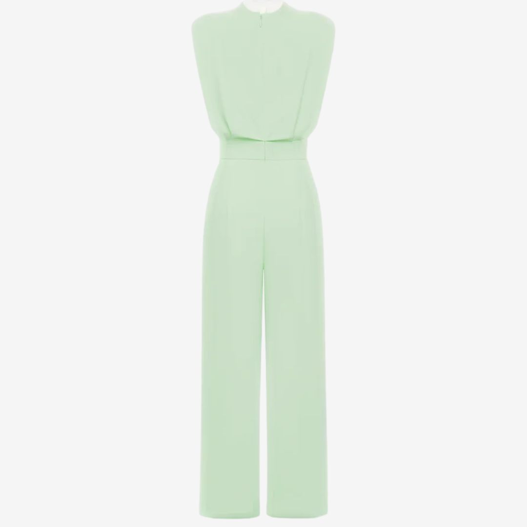 Pale Olive#Pale Olive_4