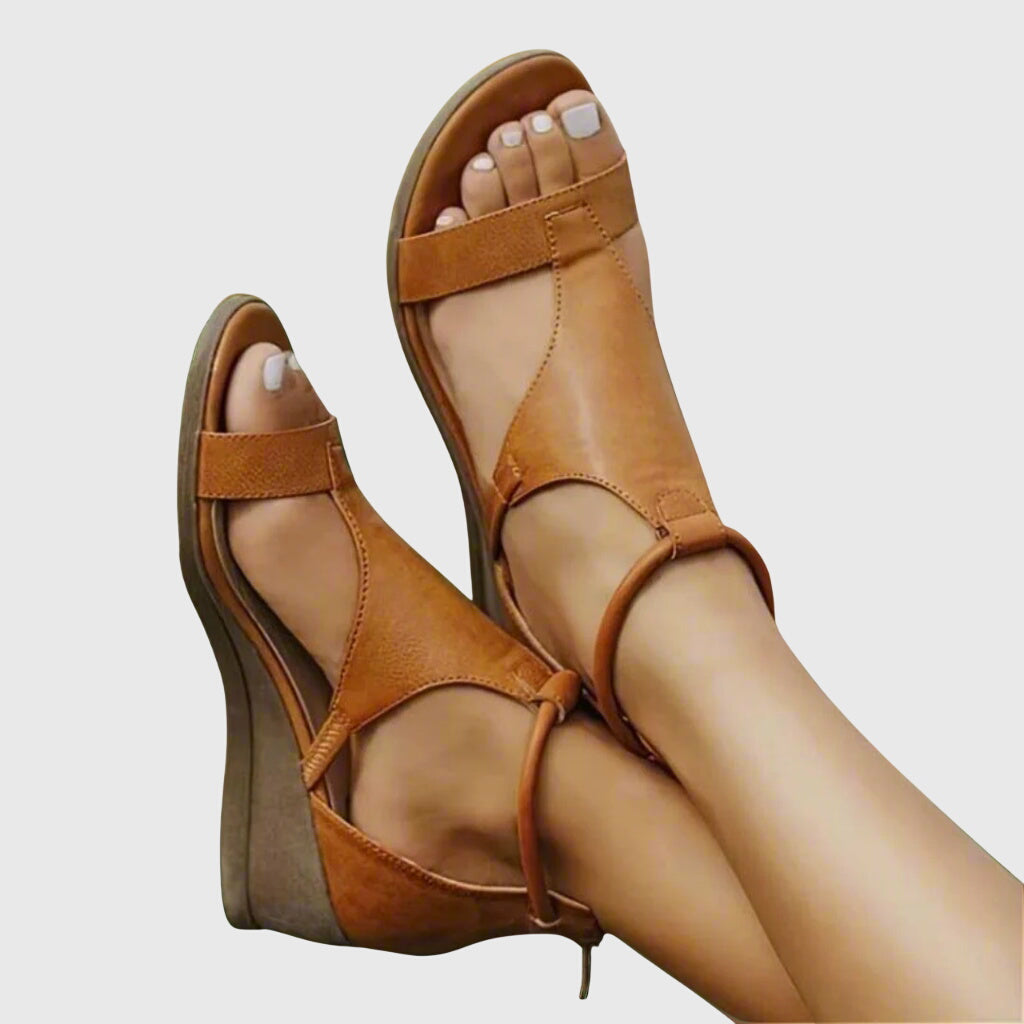 Brown#Brown_1