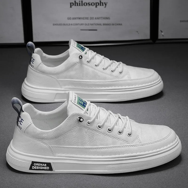 White#White_1