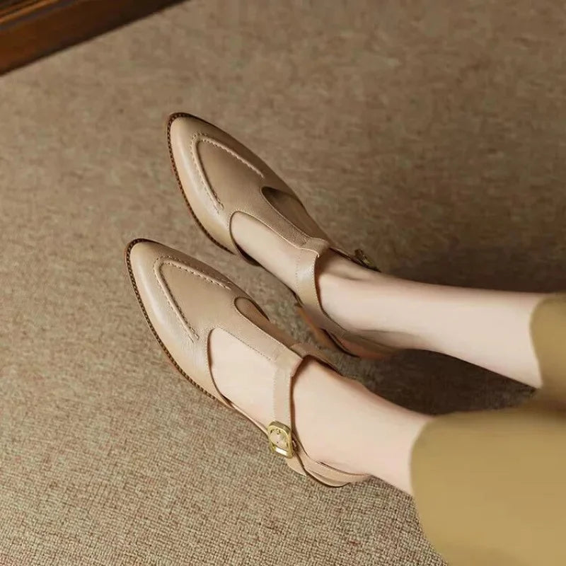 Light Brown#Light Brown_3