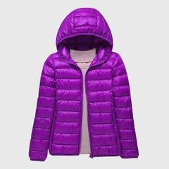 Purple#Purple_1
