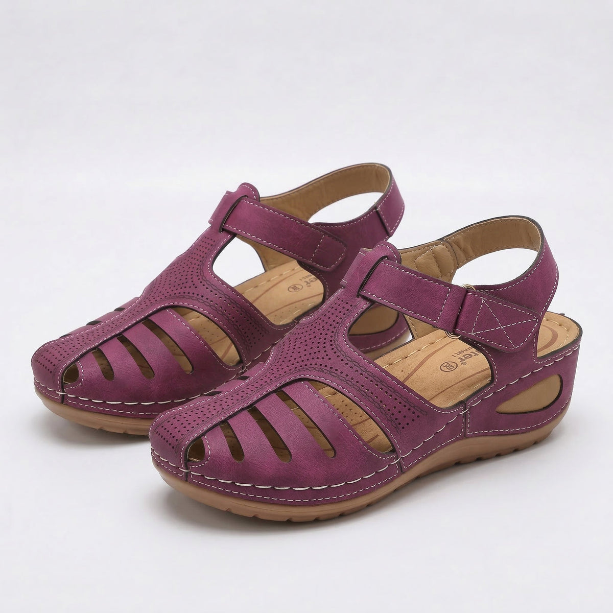 Purple#Purple_1
