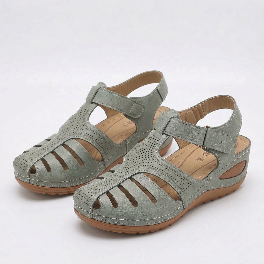 Olive Green#Olive Green_1