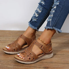 Brown#Brown_2